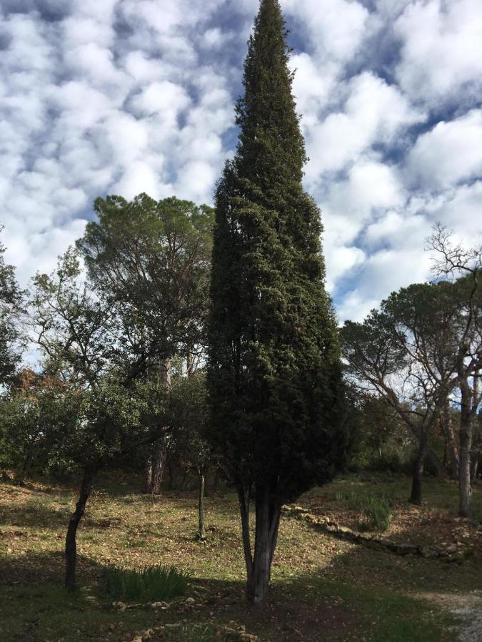Les Marguerites Bed & Breakfast Vers Pont du Gard Luaran gambar