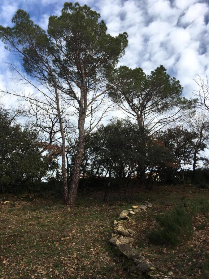 Les Marguerites Bed & Breakfast Vers Pont du Gard Luaran gambar
